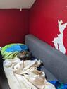 Foto - WG-Zimmer, 13,5 m2 Gießen Innenstadt Berliner Platz