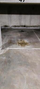 Foto - Tiefgaragenstellplatz - 80,00 EUR Miete,