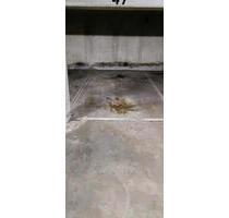 Tiefgaragenstellplatz - 80,00 EUR Miete, in Stuttgart (PLZ: 70191) Stuttgart-Nord