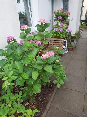 Foto - Etagenwohnung in Hamburg zur Miete