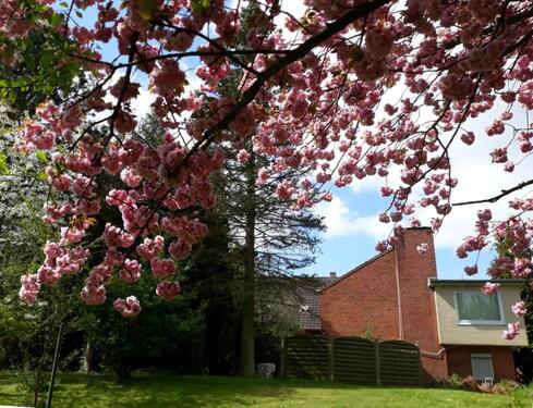 Foto - Provisionsfreie Immobilie - 850.000,00&nbsp;EUR Kaufpreis, ca.&nbsp; 433,00&nbsp;m&sup2;