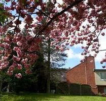 Provisionsfreie Immobilie - 850.000,00 EUR Kaufpreis, ca. 433,00 m² in Erfde (PLZ: 24803) Provisionsfreie Immobilie - 850.000,00 EUR Kaufpreis, ca. 433,00 m² in Erfde (PLZ: 24803)