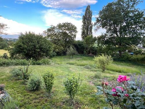 Foto - Bungalow in Mendig zum Kaufen