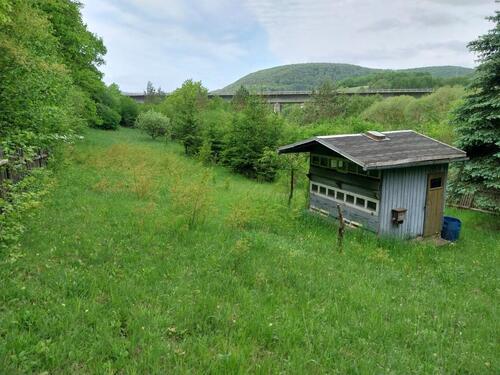 Foto - Grundstück in ELLINGSHAUSEN pachten