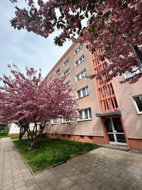Foto - Renovierte und helle 1-Zimmer-Wohnung mit Duschbad