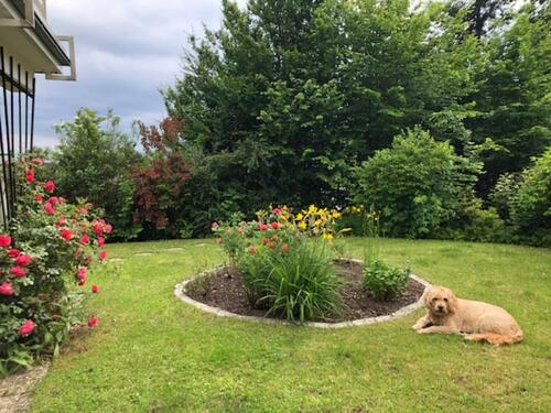 Foto - Einfamilienhaus in Dillenburg zum Kaufen