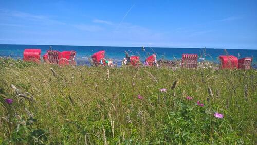 Foto - Ferienwohnung in Schönhagen Ostsee Schleswig-Holstein frei!