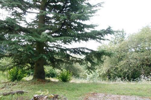 Foto - 4 Zimmer Einfamilienhaus zum Kaufen in Worms