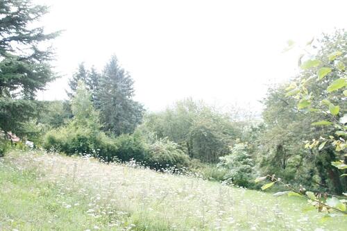 Foto - Einfamilienhaus in Worms zum Kaufen