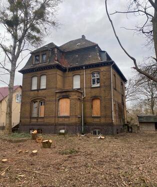 Foto - 16 Zimmer Villa zum Kaufen in Bitterfeld-Wolfen