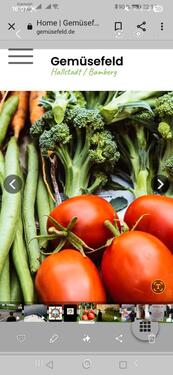 Foto - Freizeitgrundstück Feld zum Gemüseanbau