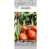 Freizeitgrundstück Feld zum Gemüseanbau - Bamberg Gereuth