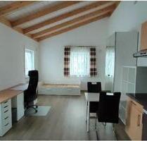 1-Zimmer Apartment 35 qm möbliert in Deggendorf zu vermieten