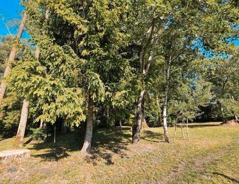 Foto - Grundst&uuml;ck in Hallbergmoos zur Miete