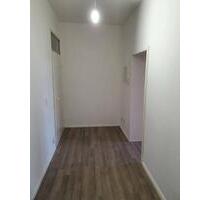 Helle freundliche 3 Zi. Altbauwohnung in grüner Lage - Chemnitz Altchemnitz