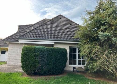 Foto - Einfamilienhaus in Hohe Börde zum Kaufen