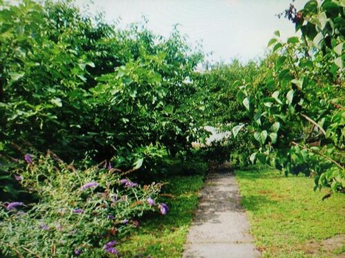 Foto - Einfamilienhaus in Römerberg