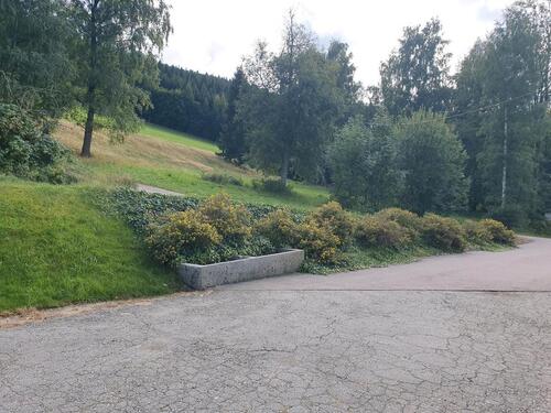 Foto - 
