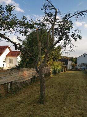 Foto - Zweifamilienhaus - 575.000,00&nbsp;EUR Kaufpreis, ca.&nbsp; 145,00&nbsp;m&sup2;