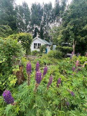 Foto - Kleingarten in Lübeck abzugeben
