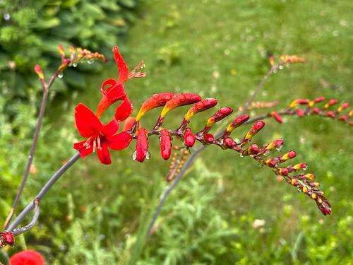 Foto - Grundstück in Lübeck