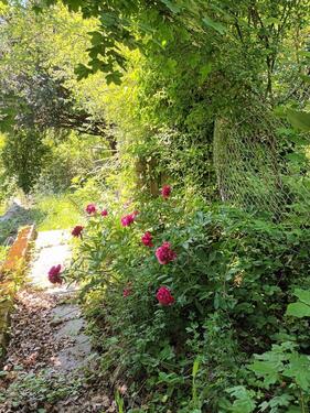 Foto - Einfamilienhaus zum Kaufen in Heilbronn