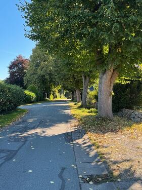 Foto - Selk, mit Blick auf das Selker Noor und den Schleswiger Dom