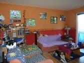 Foto - 