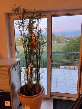 Foto - Sonnige Traumwohnung mit Blick ins Grüne