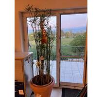 Sonnige Traumwohnung mit Blick ins Grüne - Ingolstadt Münchener Straße