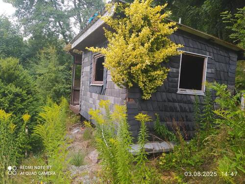 Foto - Waldhütte mit 1000qm Land - 100,00 EUR Kaltmiete, ca.  0,00 m²