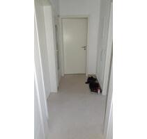 2,5 Zimmer Wohnung in Neckarau - 750,00 EUR Kaltmiete, in Mannheim (PLZ: 68199) Niederfeld