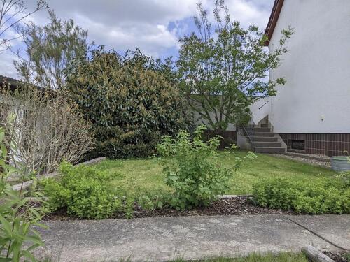 Foto - 3 Zimmer Einfamilienhaus in Riesa