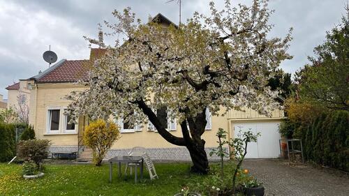 Foto - 1-Zimmerwohnung mit Einbauküche, zentrale Lage in Heilbronn