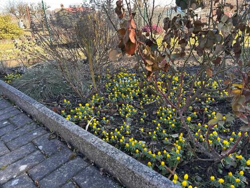 Foto - Grundst&uuml;ck in Kodersdorf