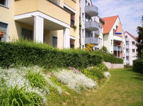 Foto - 2 Zimmer Etagenwohnung zur Miete in Plauen