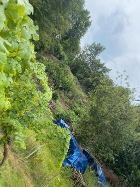 Foto - Gartenrundstück - ca.  0,00 m²