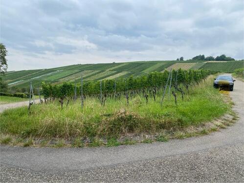 Foto - Grundstück zur Miete in Backnang