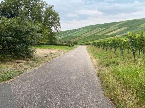 Foto - Grundstück in Backnang zur Miete