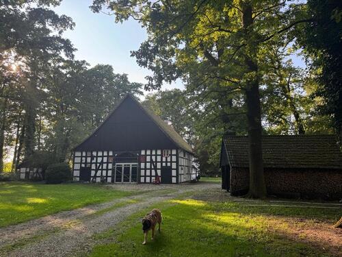 Foto - Fachwerkhaus Anno 1806, Teilsaniert