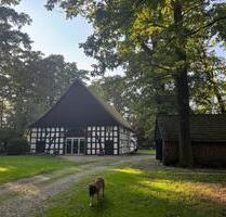 Fachwerkhaus Anno 1806, Teilsaniert - Hövelhof