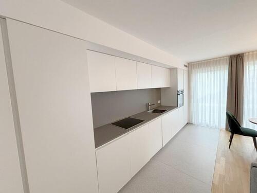 Foto - Erdgeschoßwohnung in Trier zur Miete