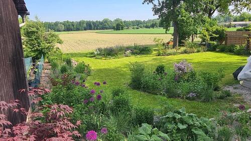 Foto - Altbauwohnung mit Neubaustandard in Banholzen zur Miete