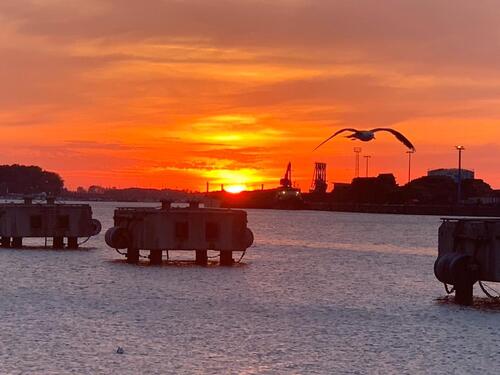 Foto - Kleines feines Appartement 27 qm im Zentrum möbliert