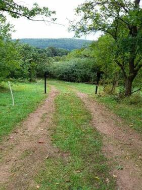 Foto - Grundstück zur Miete in Wanfried