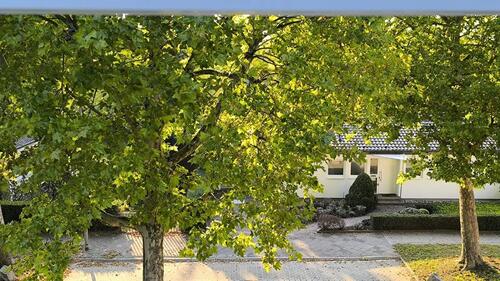 Foto - Etagenwohnung zur Miete in Ludwigshafen am Rhein