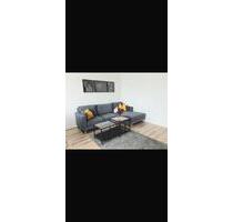 Zu vermieten: frisch renovierte und möblierte 2-Zimmer-Wohnung - Frankfurt am Main Oberrad