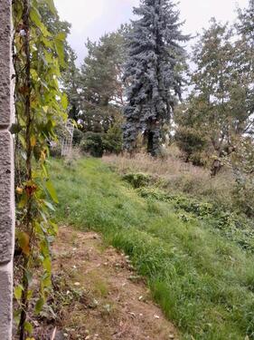 Foto - Einfamilienhaus in Naumburg (Saale) zum Kaufen