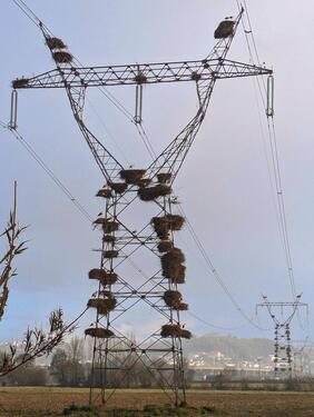 Foto - Reiheneckhaus in Nufringen - 580.000,00&nbsp;EUR Kaufpreis, ca.&nbsp; 120,00&nbsp;m&sup2;