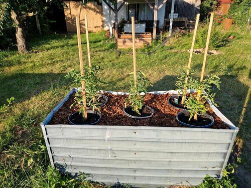 Foto - Kleingarten in Magdeburg mit Brunnen, Stall & Werkstatt